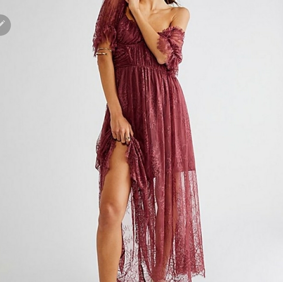 **Only size 2 left!!* Free People Dear Jane Embroidered Lace Dress in Roan Rouge - Picture 4 of 16